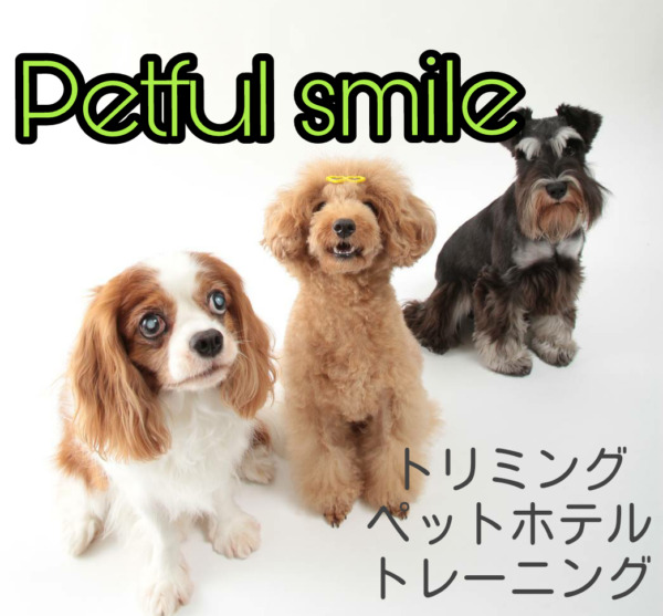 Petful smile