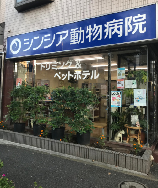 シンシア動物病院