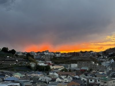 初冬の夕景｜会食｜河豚難民